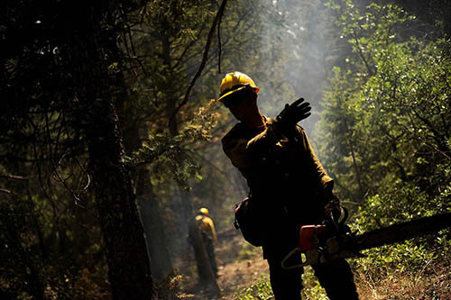 Keller Tree Professionals Tree-Services-Keller-TX-tree-experts_1