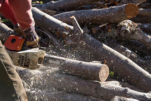 Keller storm cleanup Tree-Services-Keller-TX-wood-chainsaw_1